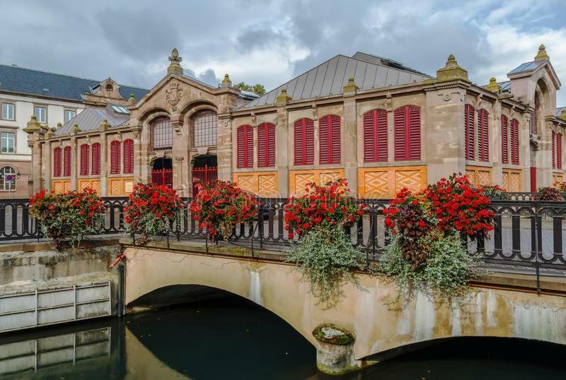 Chez Pauline Apartment Colmar Exterior photo