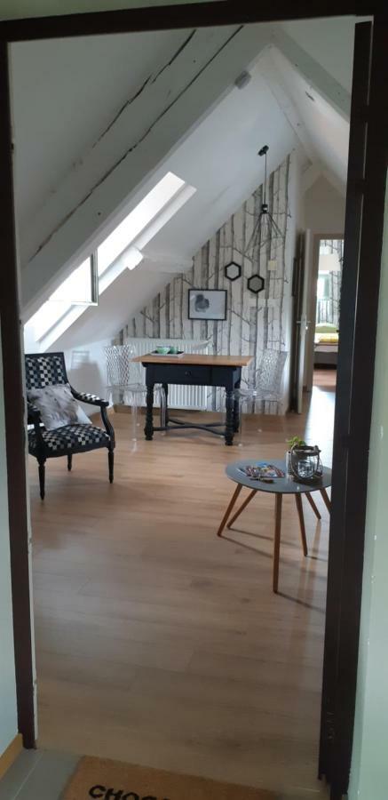 Chez Pauline Apartment Colmar Exterior photo